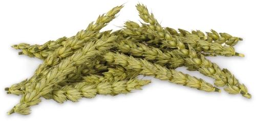 jr-farm-k-osy-owsa-i-pszenicy-30g (1).jpg