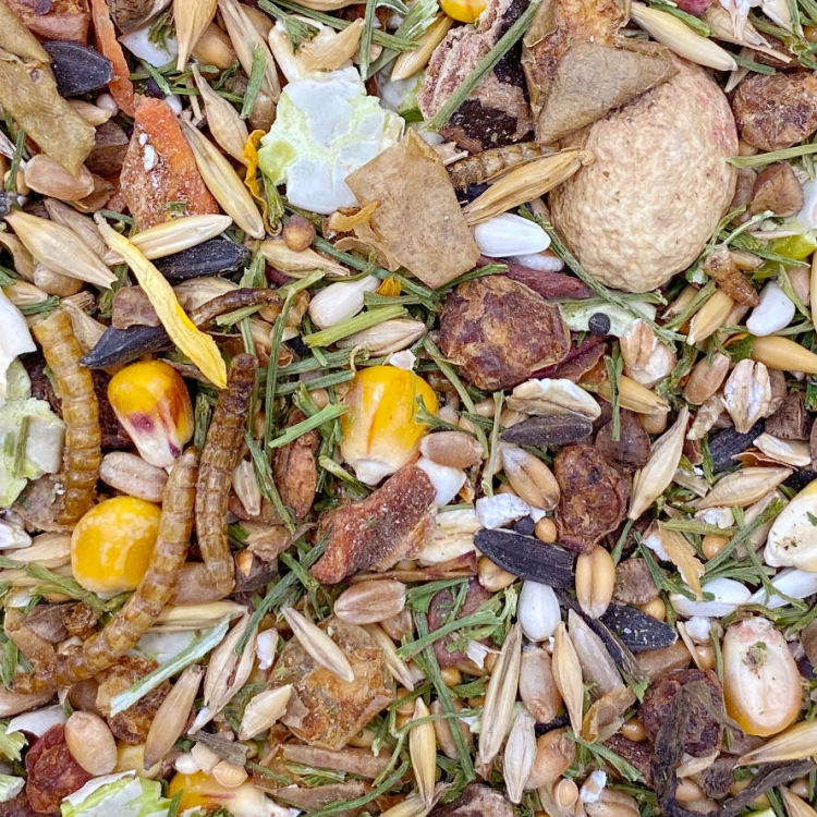 Farbratten-Getreide-Muesli-Detail.jpg