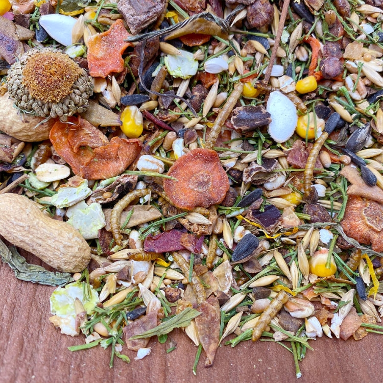 Farbratten-Getreide-Muesli-Futtermischung.jpg