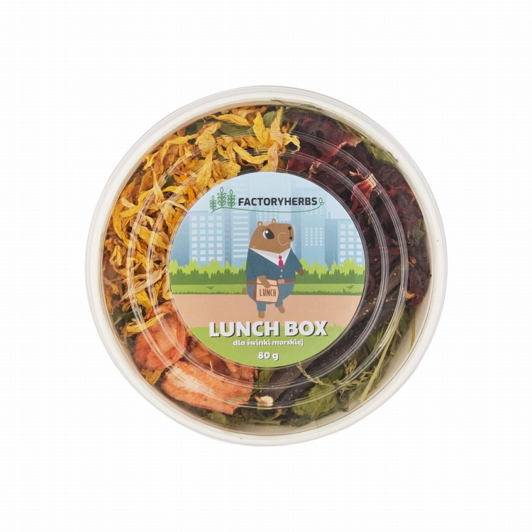 1-lunchboxswinka.jpg