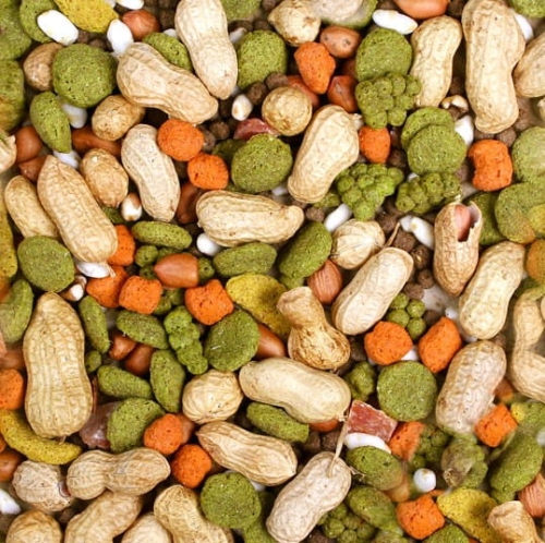 jr-farm-przekaska-dla-chomika-100g (1).jpg