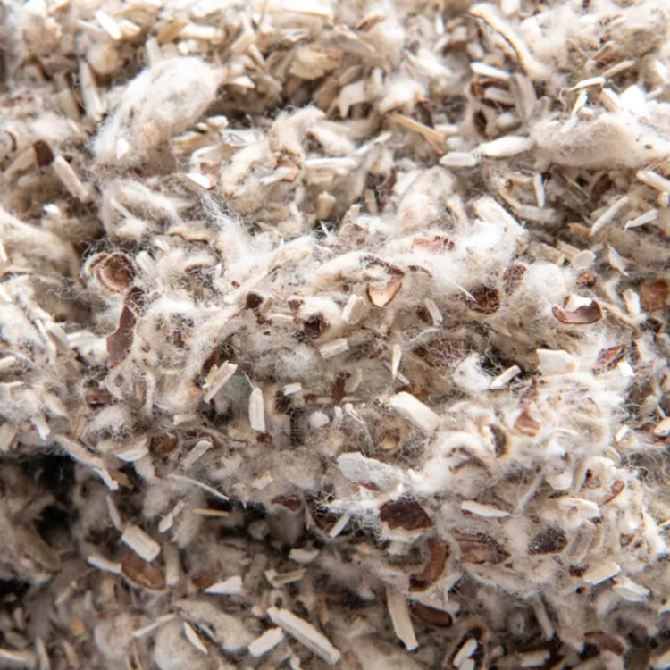 cotton-n-hemp-2-800x800.jpg.webp