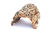 BioCork-Cave-S-XL.jpg