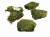 BioClumb-Moss-Mech-poduchy-100g.jpg