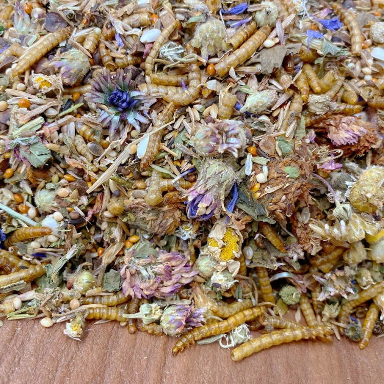 Zwerghamster-Roborowski-Gourmet-Menue-Futtermischung_1920x1920.webp