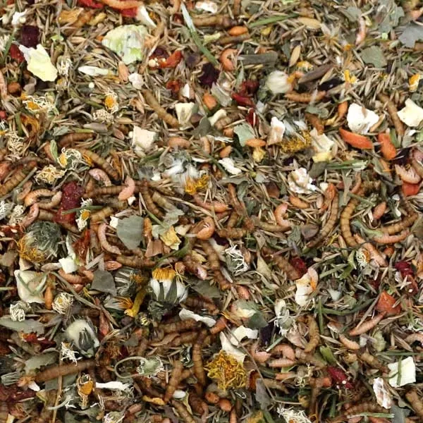 fprennmaus_600x600.webp