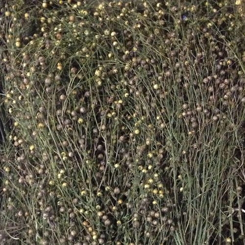 29120000_med.jpg