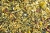 getzoo-zwerghamster-basisfutter-500g-5016-gzzhbf500.jpg