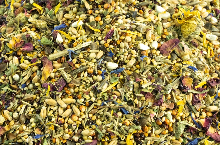 getzoo-zwerghamster-basisfutter-500g-5016-gzzhbf500.jpg