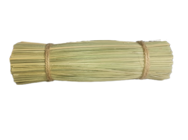 BackgroundEraser_20240611_144301579.png