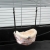 15386_153866.jpg