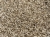 IMG_1477.jpeg
