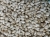 IMG_1482.jpeg