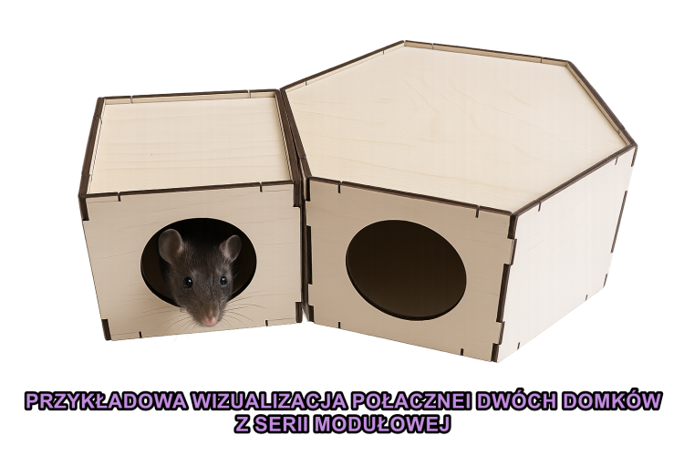 PRZYKŁAD.PNG