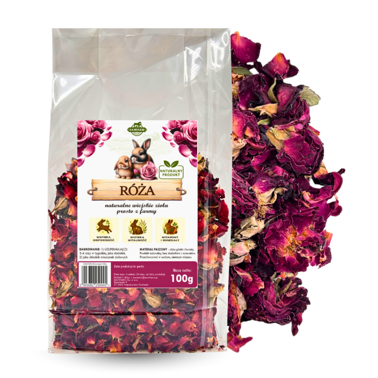 roza-kwiat.png