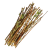 Liscie-truskawki-2024-04-09T072309.667-600x600.png