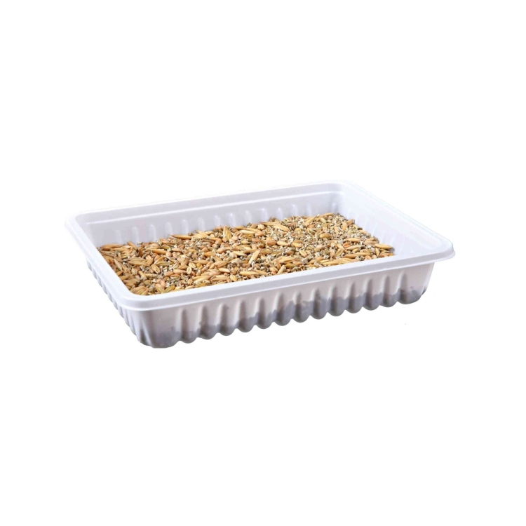trawa-dla-gryzoni-w-pojemniku-100gr.jpg