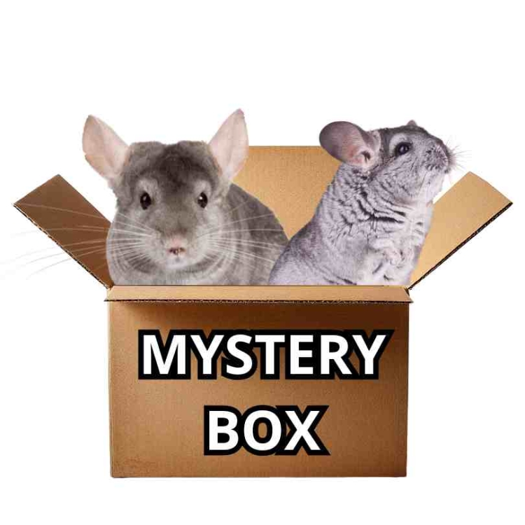 MYSTERY BOX (13).jpg