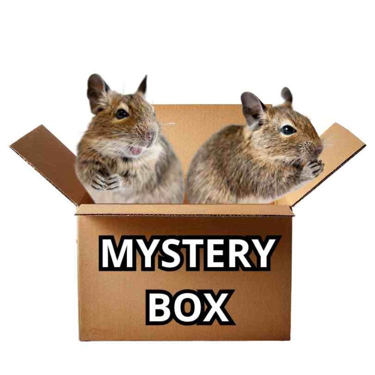 MYSTERY BOX (14).jpg