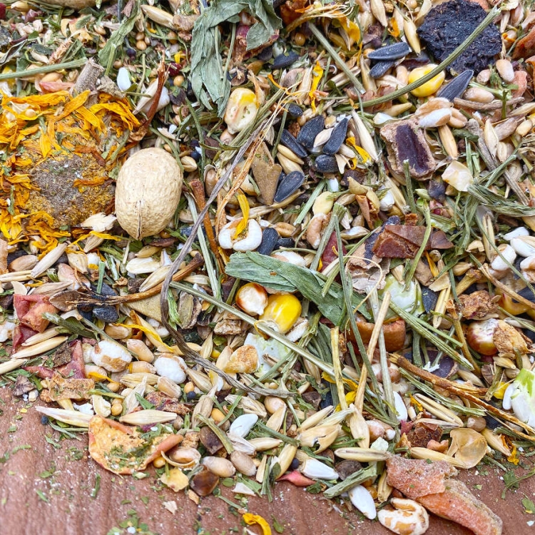 Farbratten-Getreide-Muesli-ohne-tierisches-Eiweiss-Futtermischung_1920x1920.webp