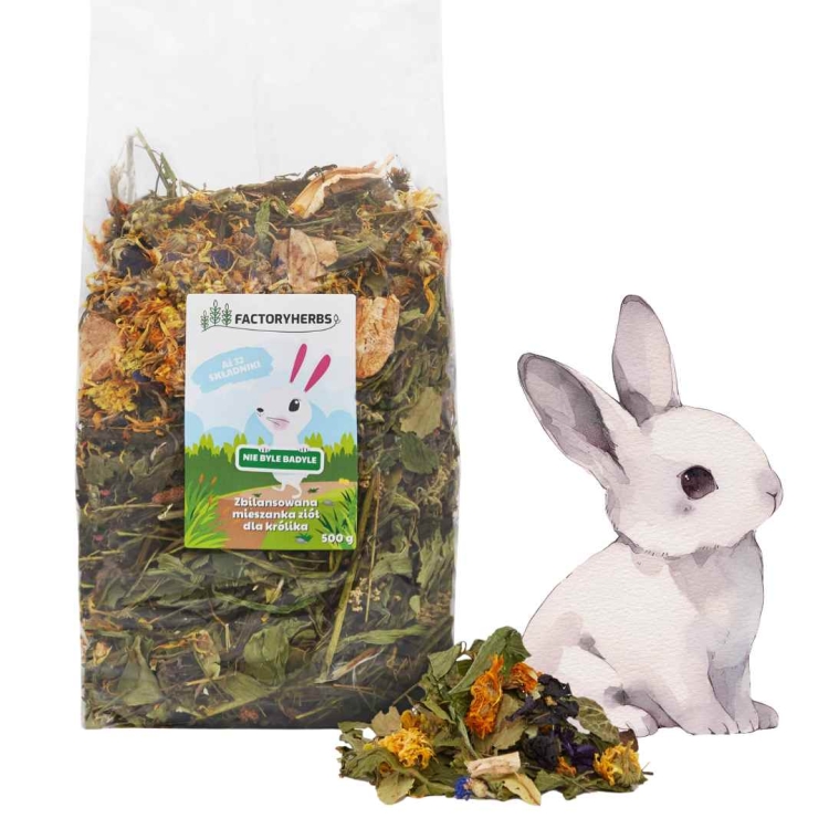 Kopia – zwierzak tygodnia (22).jpg