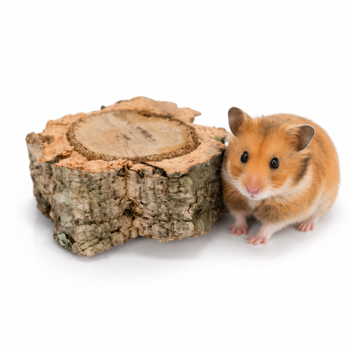 ChatGPT Image 23 kwi 2026, 09_02_30.png