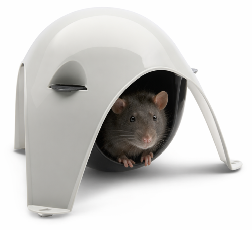 ChatGPT Image 23 kwi 2026, 09_58_04.png