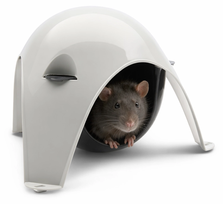 ChatGPT Image 23 kwi 2026, 09_58_04.png