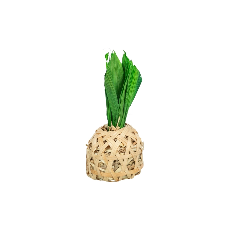 ananas-z-bambusa-dla-chomika-z-liscmi-kukurydzy-i-sianem-65-14-cm.jpg