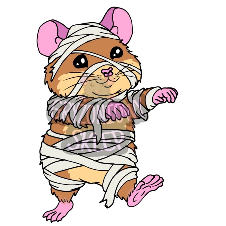 mumia chomik (1).png