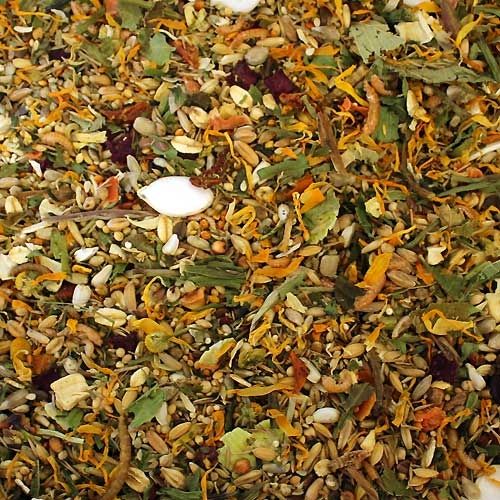 fp-farbmaus.jpg