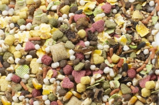 JR-FARM-UCZTA-dla-SZCZURA-RAT-600G-13676-Karmy-specjalne-karma-uniwersalna.jpg