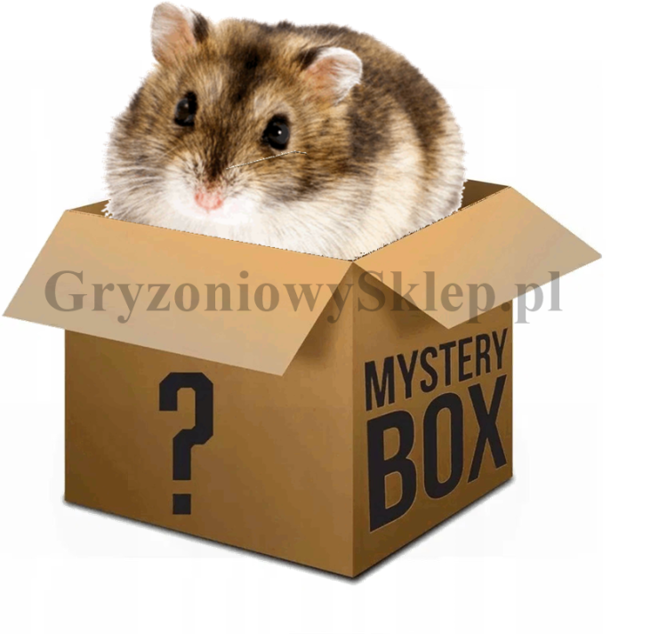 hybryda box.png