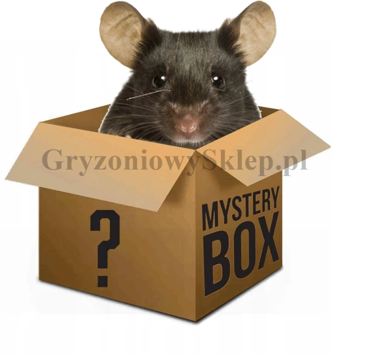 mysak box.png