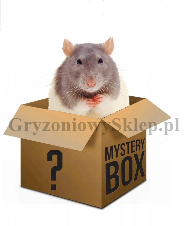 rattt box.png