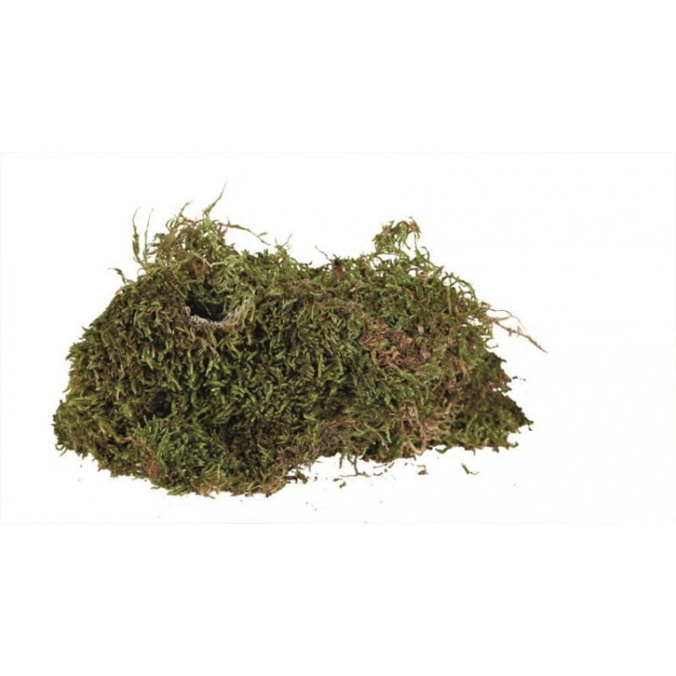 mech-subtrat-do-wilgotnych-terarriow-200-g (1).jpg