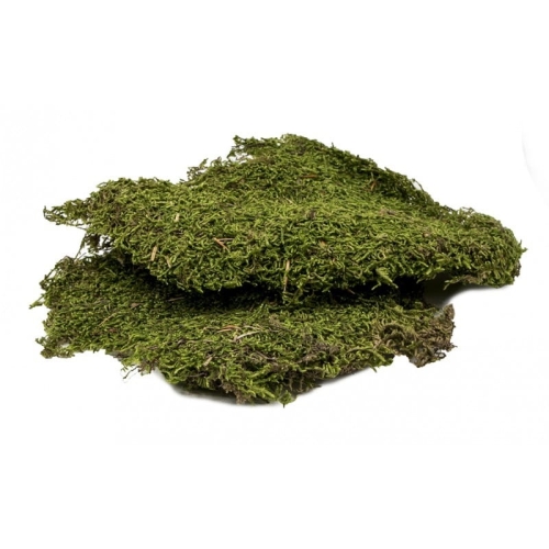 podloze-do-terrarium-mech-50g-kraj-pochodzenia-sri-lanka.jpg