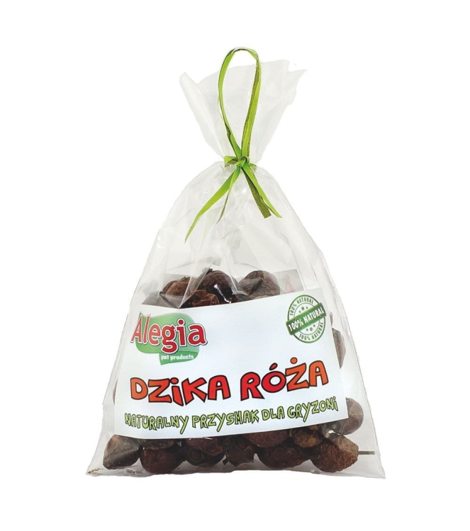 dzika-roza.jpg