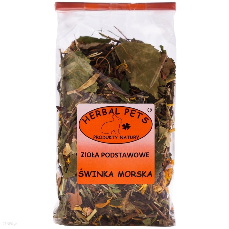 świnka.jpg